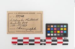 Etiketten zu Bronzebreitrandfußschale (NHMW-PRAE-025740)